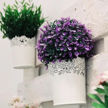 Conil Manrey * Conil De La Frontera