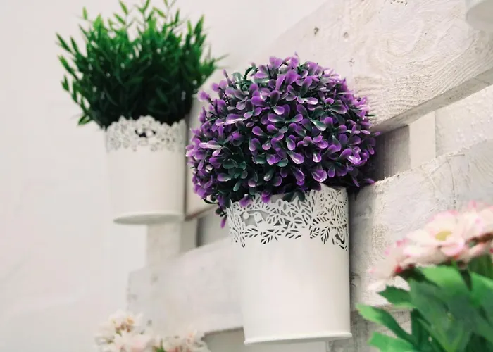 Conil Manrey * Conil de la Frontera